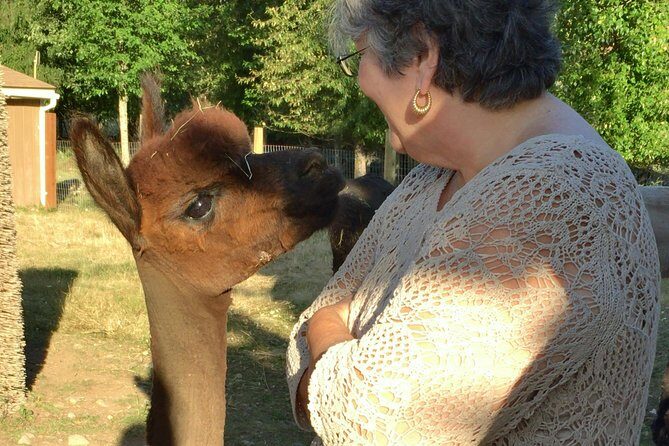 Alpaca Ranch and Fiber Processing Mill Tour - Discover the Charm of Washington’s Alpaca Farm and Fiber Mill