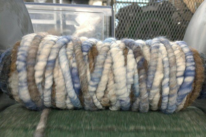 Alpaca Ranch and Fiber Processing Mill Tour - Who Should Consider this Tour?