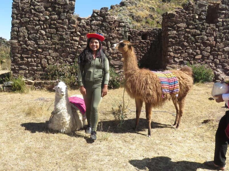 Alpaca therapy and artisanal creativity - Discover Authentic Peru with Alpaca Therapy and Artisanship in Cusco