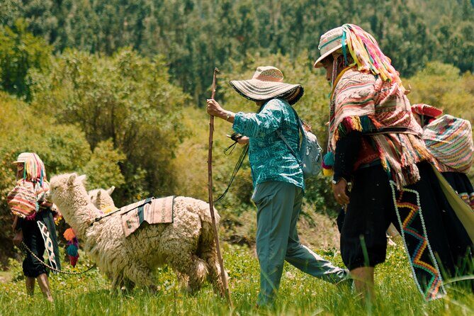 Alpaca Walk & Natural Dye Tour: A Memorable Full Day Experience - Exploring the Sacred Valley: What to Expect from the Tour