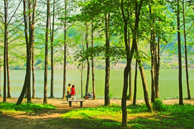 Alpaca World and Nami Island with Gangchon Rail Bike Tour - A Deep Dive into the Tour Experience