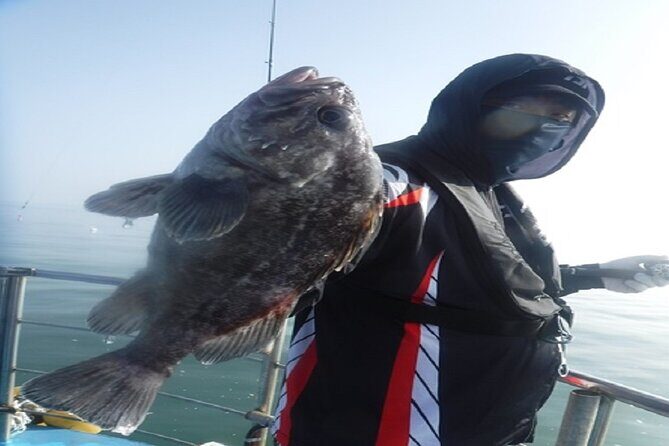 Alpaca World & Nami Island Private Tour - Nami Island: Korea’s Romantic and Cultural Escape