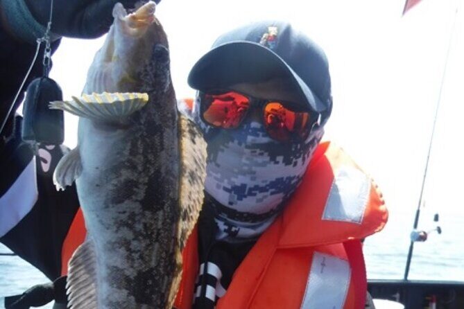 Alpaca World & Nami Island Private Tour - FAQs