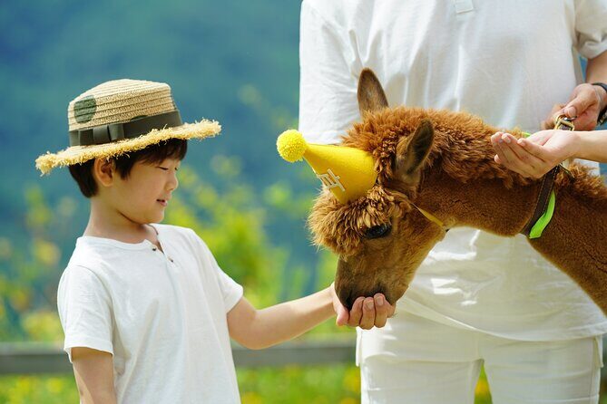 Alpaca World Tour with Nami Island & opt Railbike or Garden/Park - Exploring the Itinerary in Detail