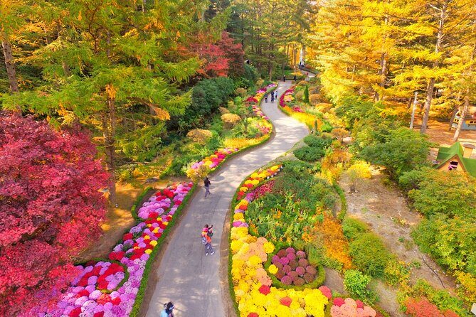 Alpaca World Tour with Nami Island & opt Railbike or Garden/Park - FAQ