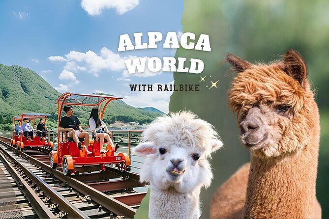 Alpaca World with Gangchon Rail Park One Day Tour - An Overview of the Experience