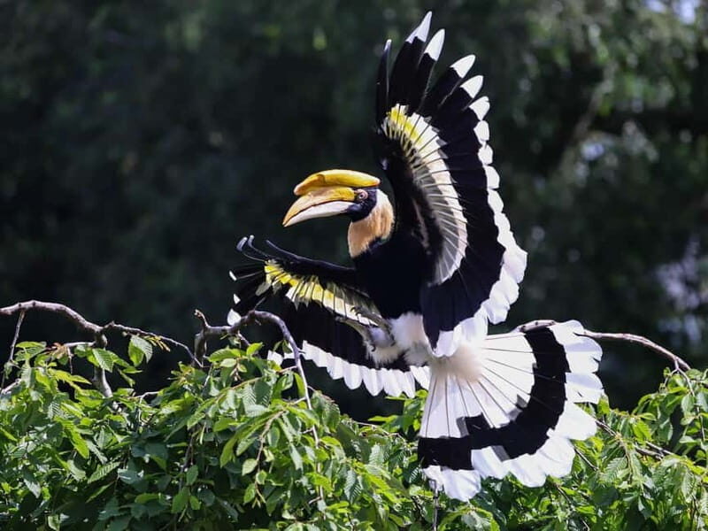 Alphen aan den Rijn: Avifauna Bird Park Entry Ticket - Key Points