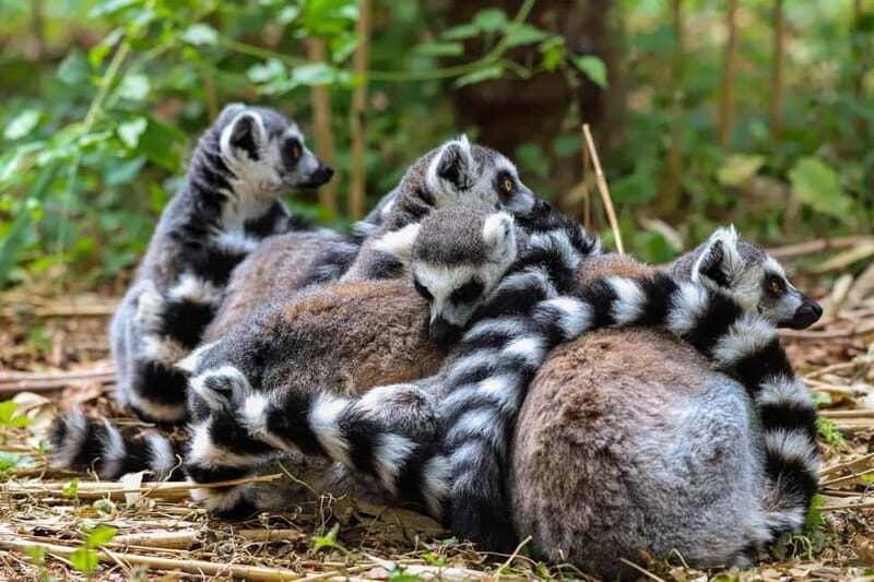Alphen aan den Rijn: Avifauna Bird Park Entry Ticket - Who Will Love This Experience?