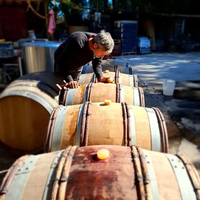Alpilles: Discover vineyards and farms by electric bike - Key Points