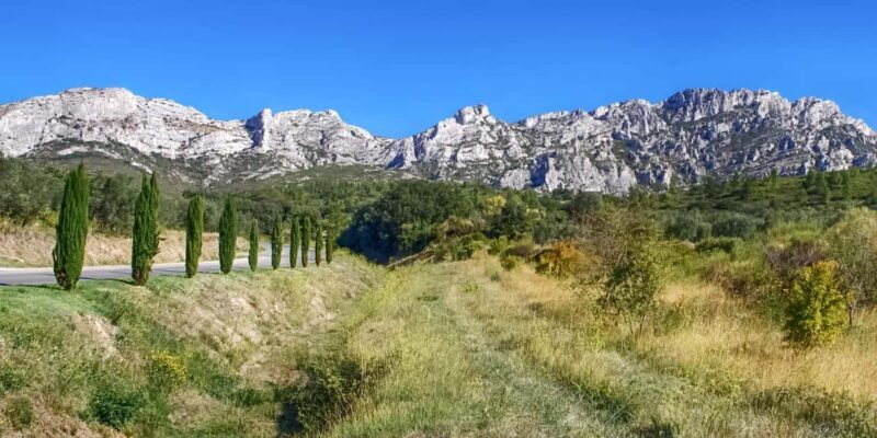 Alpilles: Discover vineyards and farms by electric bike - Key Points