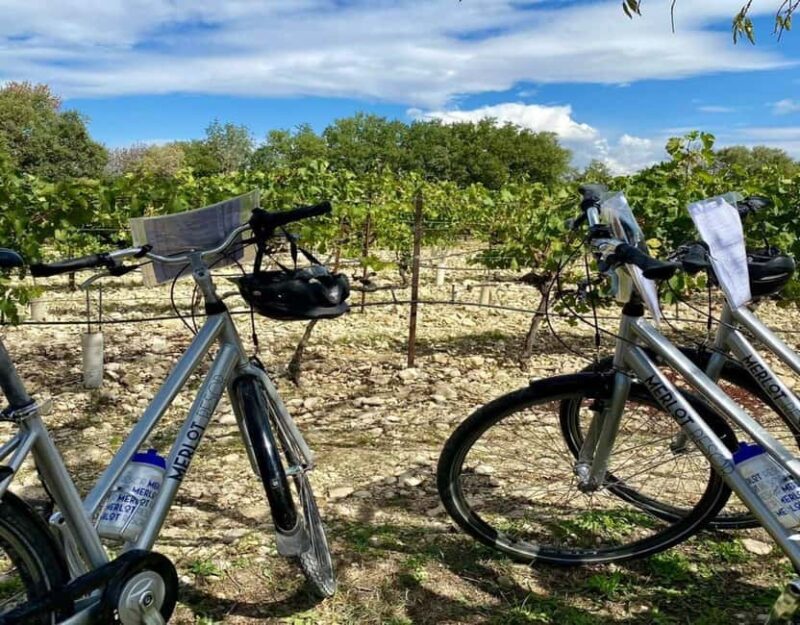 Alpilles: Discover vineyards and farms by electric bike - An In-Depth Look at the Tour