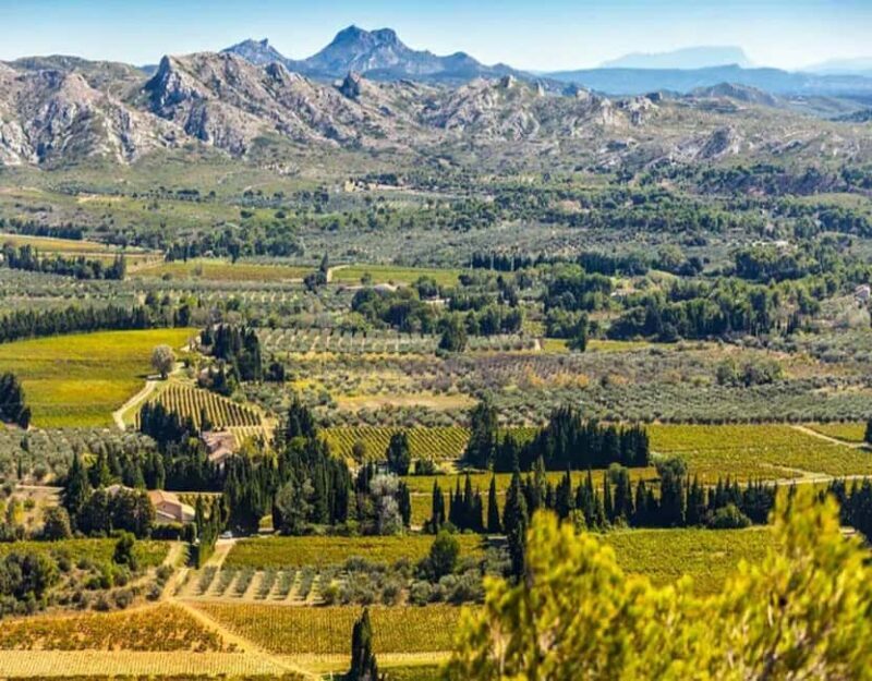 Alpilles: Discover vineyards and farms by electric bike - What Makes This Tour Special