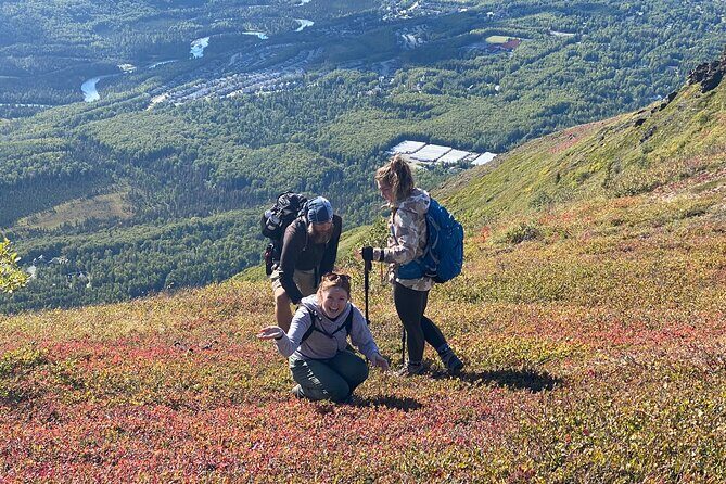 Alpine Classic Trek - Discover Alaska’s Wilderness with the Alpine Classic Trek