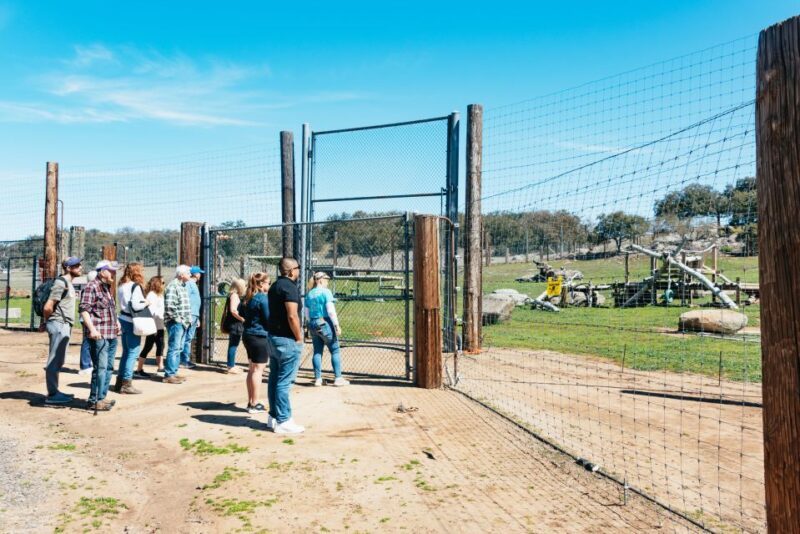 Alpine: Lions Tigers & Bears Animal Sanctuary Guided Visit - Alpine: Lions Tigers & Bears Animal Sanctuary Guided Visit — A Genuine Encounter with Rescued Big Cats and Bears