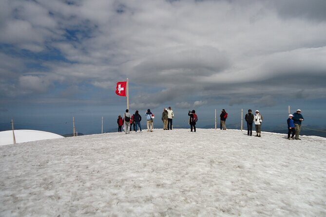 Alpine Majesty: From Basel to Jungfraujoch Exclusive Private Tour - Who Should Book This?