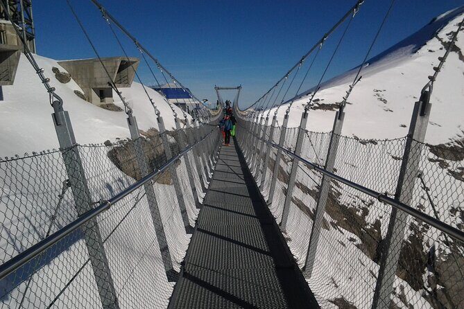 Alpine Majesty:Exclusive Private Tour to Mount Titlis from Basel - Why Choose the Alpine Majesty Private Tour?