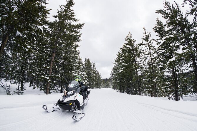 Alpine Self Guided Snowmobile Rentals - Key Points