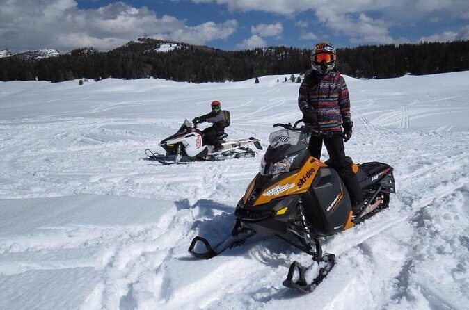 Alpine Self Guided Snowmobile Rentals - The Sum Up