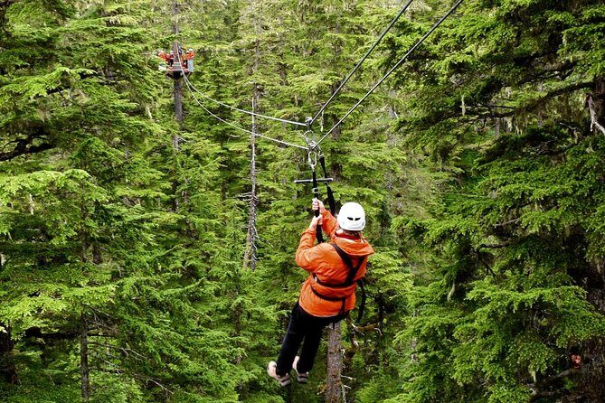 Alpine Zipline Adventure in Juneau, AK - An Exciting Flight Through Juneau’s Rainforests: Alpine Zipline Adventure