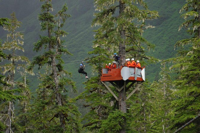 Alpine Zipline Adventure in Juneau, AK - Key Points
