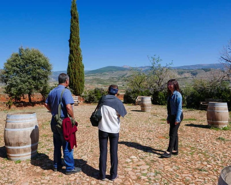 Alpujarra of Almería: Organic Wine tour and vegan aperitif - A Closer Look at the Experience