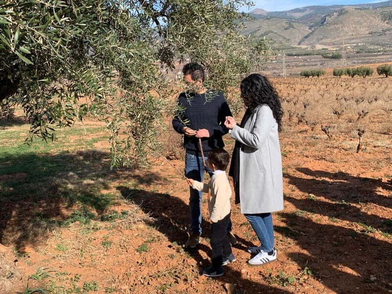 Alpujarra of Almería: Organic Wine tour and vegan aperitif - Who Will Love This Experience?