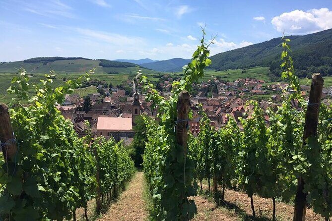 Alsace 4 Wonders Small-Group Day Trip from Colmar - What It Means for You: The Experience You’ll Take Home