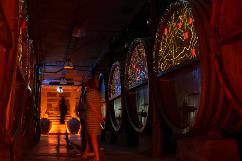 Alsace: Alsatian Wine Tasting Tour and Alsatian Lunch - Key Points