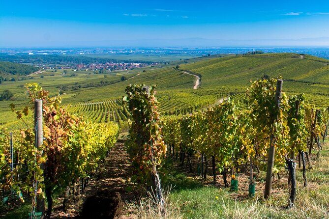 Alsace Full Day Wine Tour from Colmar - Final Thoughts: Is It Worth It?
