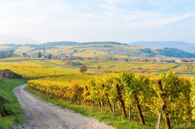 Alsace: Full-Day Wine Tour & Tastings from Strasbourg - Key Points