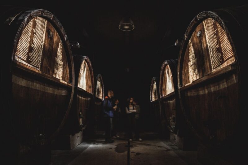 Alsace: Guided Wine Tasting and Cellar Visit - Key Points