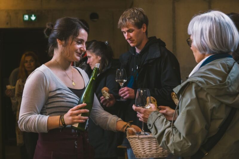 Alsace: Guided Wine Tasting and Cellar Visit - Who Should Consider This Tour?
