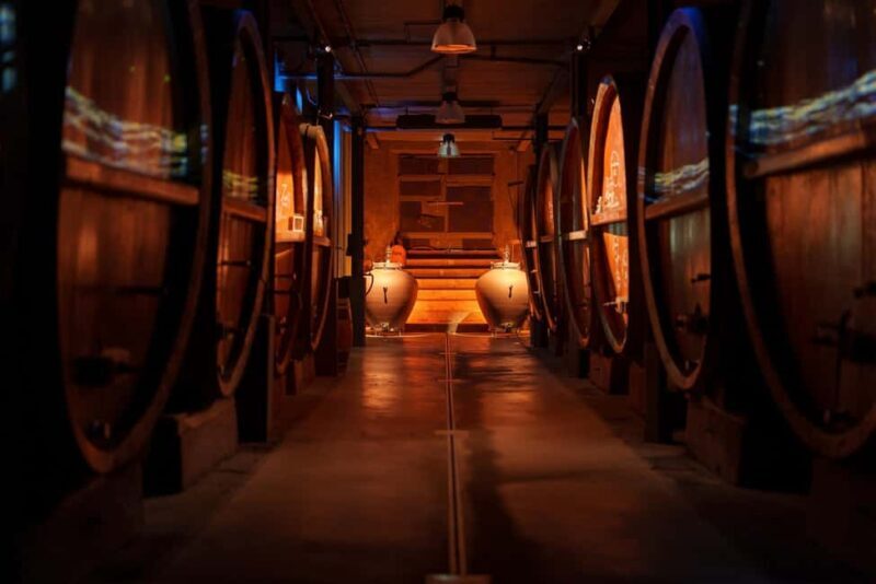 Alsace: Guided Wine Tasting and Cellar Visit - Additional Practical Tips