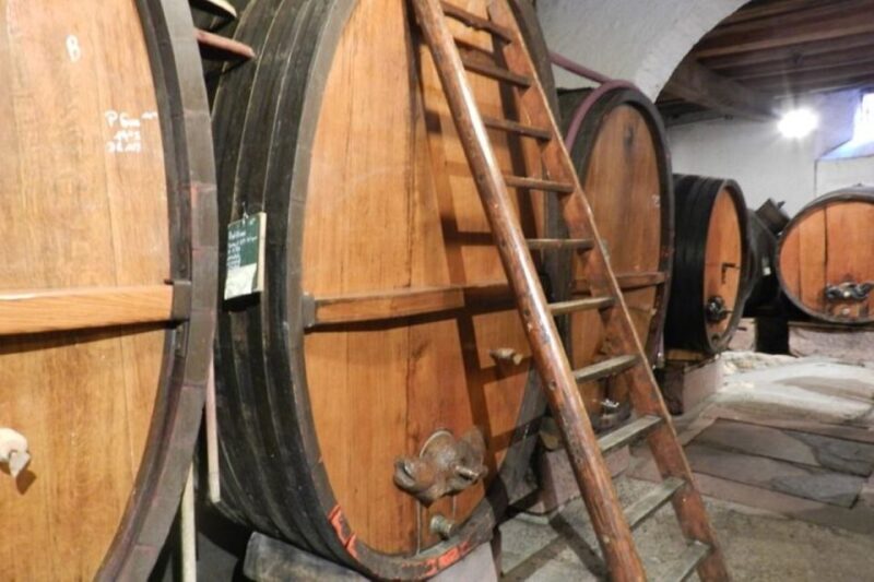 Alsace: Half-Day Wine Tour from Colmar - An In-Depth Look at the Tour Experience