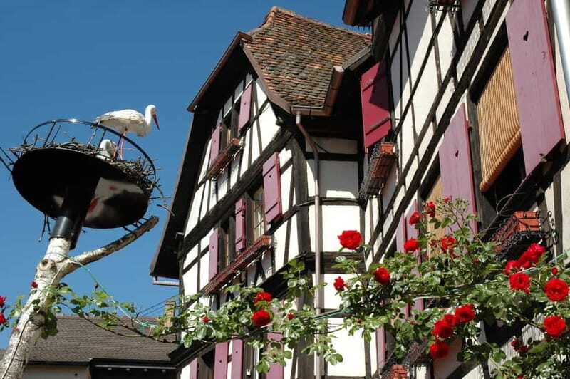 Alsace Half-Day Wine Tour from Strasbourg - FAQs