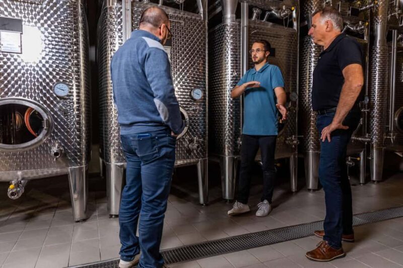 Alsace: Visit and Wine Tasting at Domaine Pierre Adam - Practical Tips