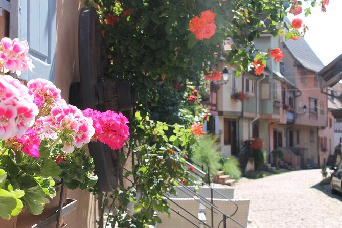 Alsace Wine Route Small Group Half-Day Tour with Tasting from Strasbourg - Exploring Strasbourg’s Half-Day Wine Experience