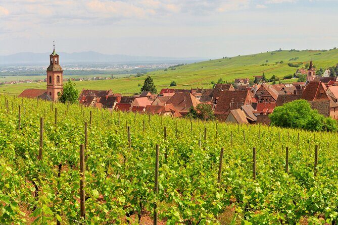 Alsace Wine Route Small Group Half-Day Tour with Tasting from Strasbourg - The Value of the Experience