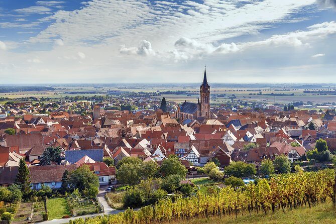 Alsace Wine Route Wineries & Tasting Small Group Guided Tour from Strasbourg - What Makes This Tour Stand Out