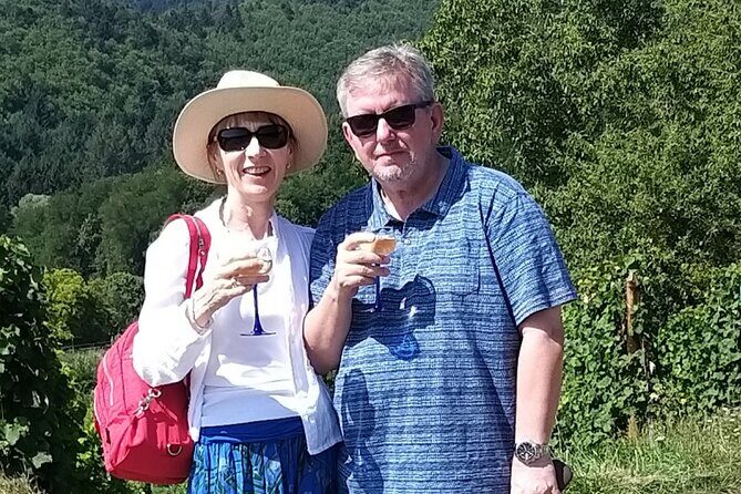 Alsace wine tour and medieval villages. Small group guided tour - A Deep Dive into the Alsace Wine and Village Experience