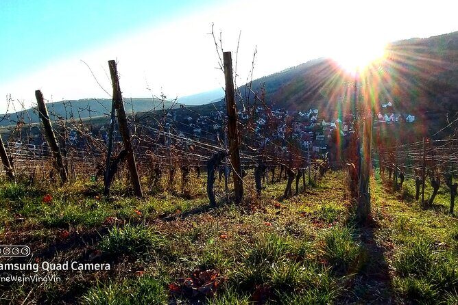 Alsace wine tour and medieval villages. Small group guided tour - FAQs