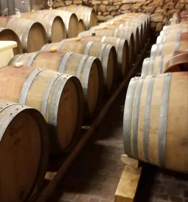 Alsace wine tour & medieval villages small group guided tour - Who Should Consider This Tour?
