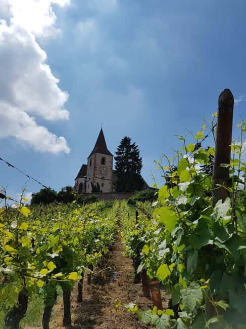 Alsace wine tour & medieval villages small group guided tour - Final Thoughts