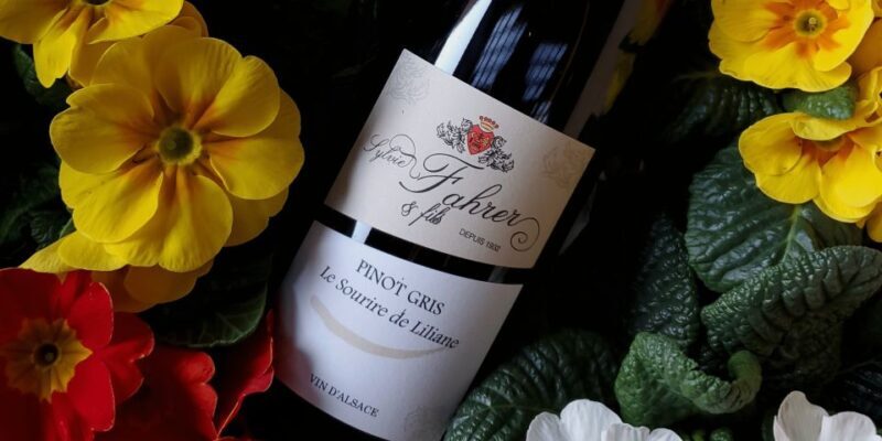Alsace: Winery Tour and Alsatian Wine Tasting - Key Points