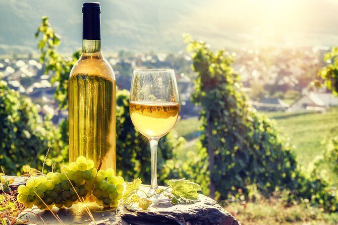 Alsace's Gems Small Group Day Tour from Colmar - Final Thoughts