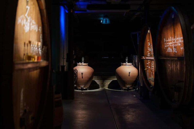 Alsatian brunch with Immersive cellar tour - Breaking Down the Itinerary