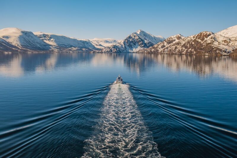 Alta: Altafjord Whale Watching in a Heated Boat - Who Should Consider This Tour?