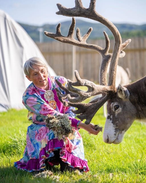 Alta: Reindeer - A carrier of Sámi Culture - Frequently Asked Questions