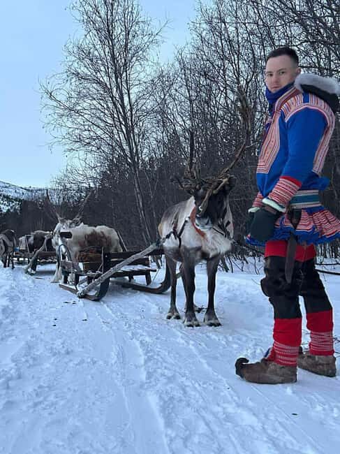 Alta: Reindeer Ride - Discovering a Piece of Norway’s Arctic Soul: The Alta Reindeer Ride Experience