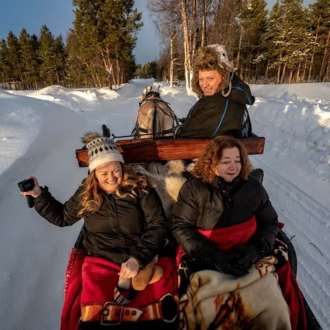 Alta: Sleigh Ride in the Arctic Countryside - A Deep Dive into the Alta Sleigh Ride Experience